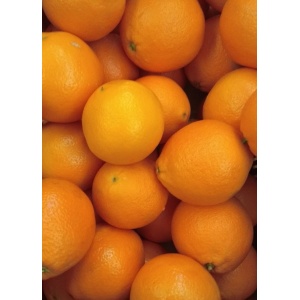 Naranja Navelina para Zumo 14kg ✔-0