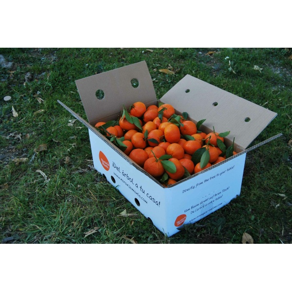 Mandarina Clemenvilla Valenciana 14kg ✔-321