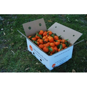 Mandarina Clemenvilla Valenciana 19kg ✔-327