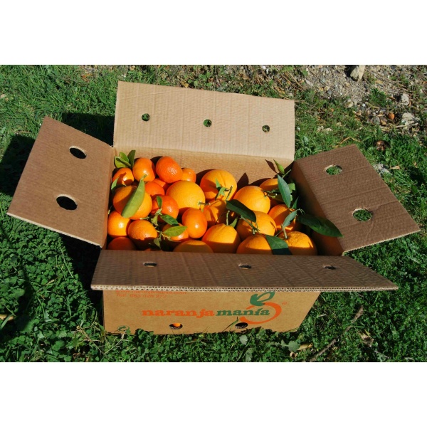 Caja Mixta 14 kg: Naranja Navelina mesa + Mandarina Clemenvilla-0