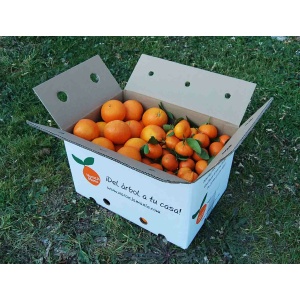 Caja Mixta 14 kg: Naranja Navelina Zumo + Mandarina Clemenules ✔-0