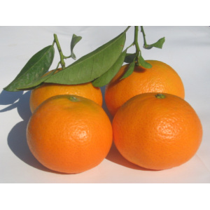Mandarina Clemenvilla Valenciana 9kg ✔-317