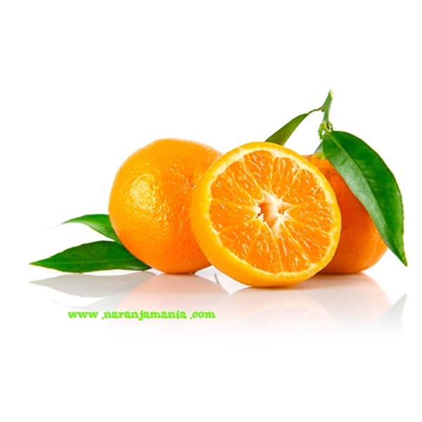Mandarina Clemenvilla Valenciana 14kg ✔-0