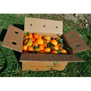 Caja Mixta 19 kg: Naranja Navelina Zumo + Mandarina Precoz ✔ -0