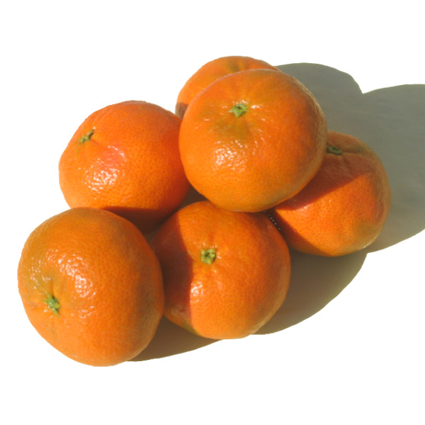 Mandarina Tardia 19kg ✔-26