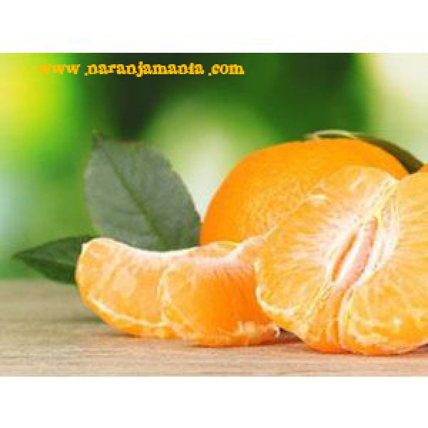 Mandarina Clemenules de Valencia 19kg ✔ -696