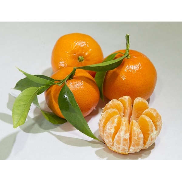 Mandarina Tardia 19kg ✔-0