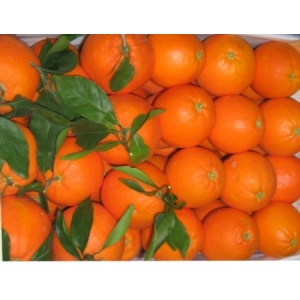 Caja Mixta 14 kg: Naranja Navelina Mesa + Mandarina Precoz ✔ -0