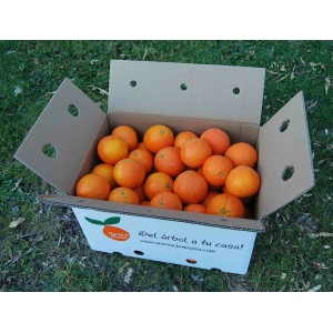 Naranja Washington Navel Zumo 19kg ✔-211