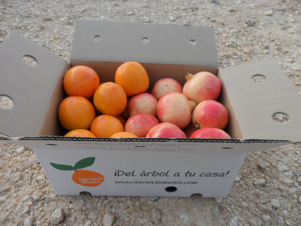 Caja mixta 9kg Caqui Persimon y Granada Mollar -421
