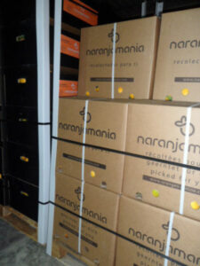 naranjas de naranjamania