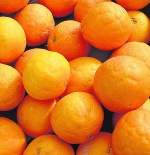 Naranjas con clareta