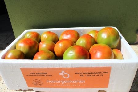 Tomate Óptima 9kg ✔-0