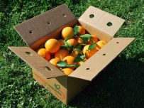 Caja Mixta 9kg de Naranja Mesa (7kg) + Tomate Valenciano (2kg)✔-581