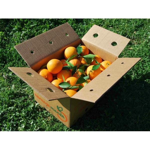 Caja Mixta 9kg de Naranja Zumo (7kg) + Tomate Valenciano (2kg)✔-0