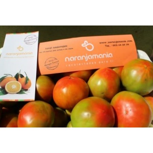 Caja Mixta 9kg de Naranja Zumo (7kg) + Tomate Valenciano (2kg)✔-592