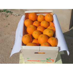Caja Mixta 19kg de Naranja Zumo (14kg) + Tomate Valenciano (5kg)✔-0