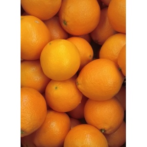 Naranja Navelina para Zumo 5kg ✔ -0