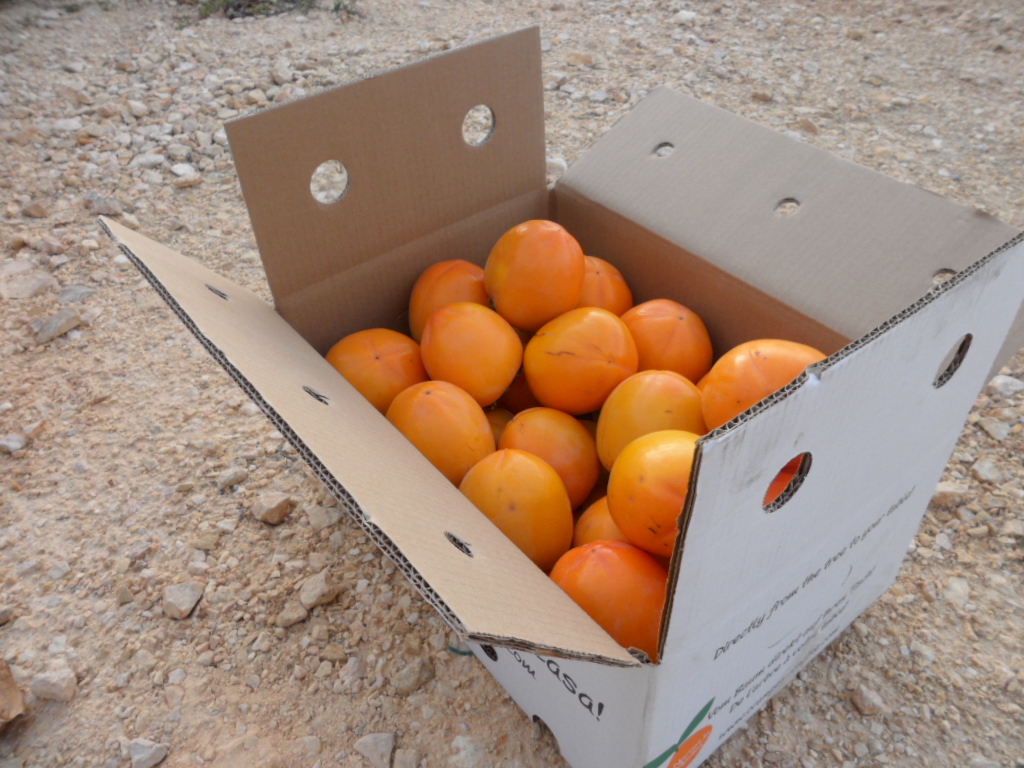 Caqui Persimon 1kg