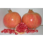 EN PELIGRO EL CULTIVO DE LA GRANADA