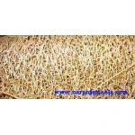 Esponja natural de luffa ✔-0