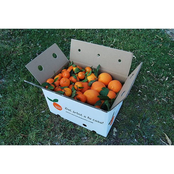 Caja 9kg mixta Naranja de Mesa + Mandarina ✔-671