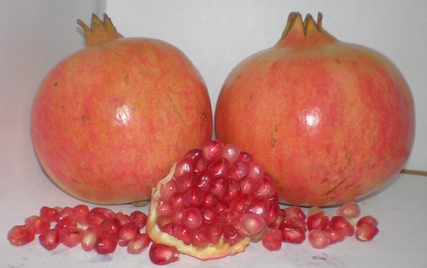 EN PELIGRO EL CULTIVO DE LA GRANADA