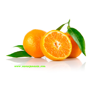 Mandarina Clemenvilla Valenciana 5kg ✔-0