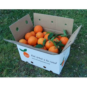 Naranja Navel Lane-Late mesa +Navel Lane-Late zumo 9kg-728