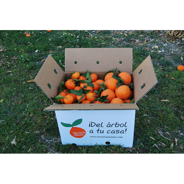 Caja Mixta 9 kg: Naranja Navel Lane-Late mesa + Mandarina tardía ✔-0