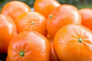 Mandarina Tardia Alborea