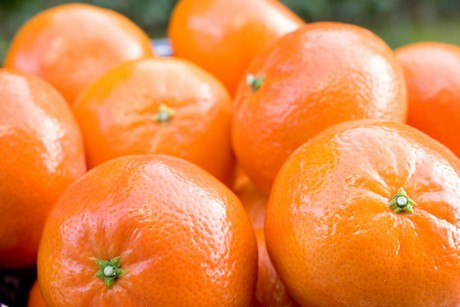 Mandarina Tardia Alborea