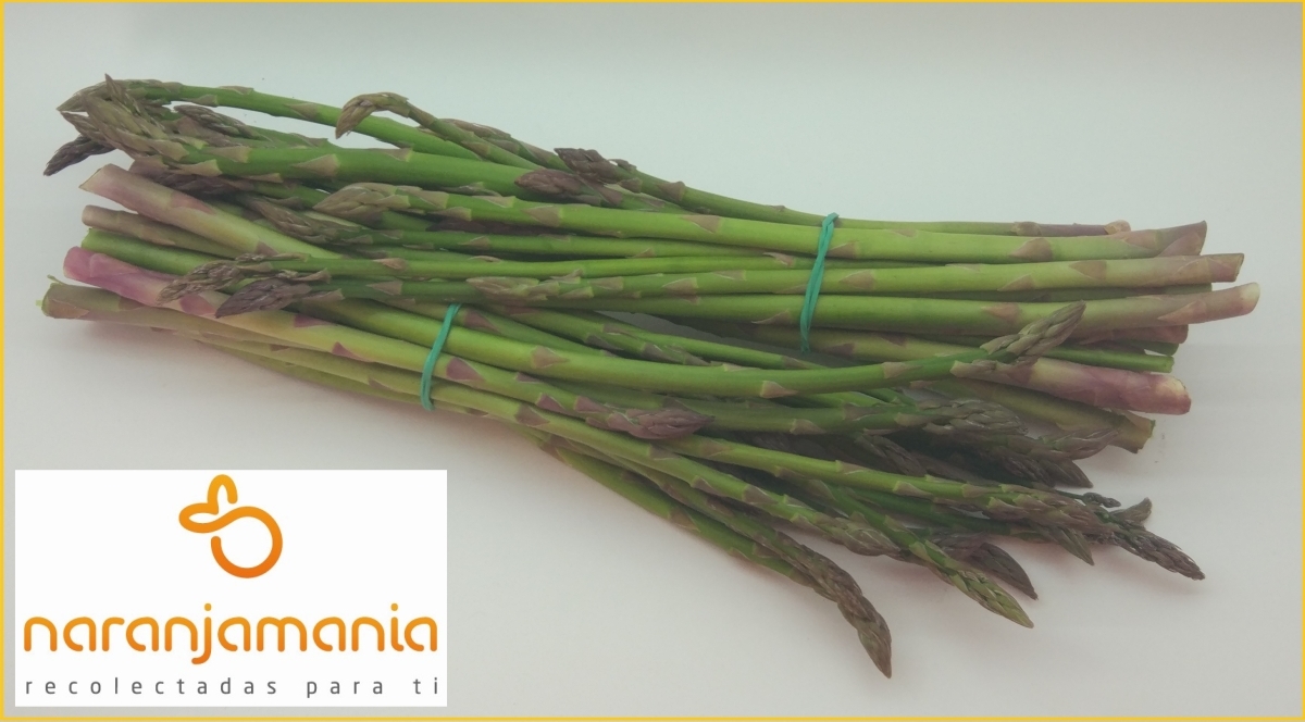 Espárrago Verde (manojo) ✔-919