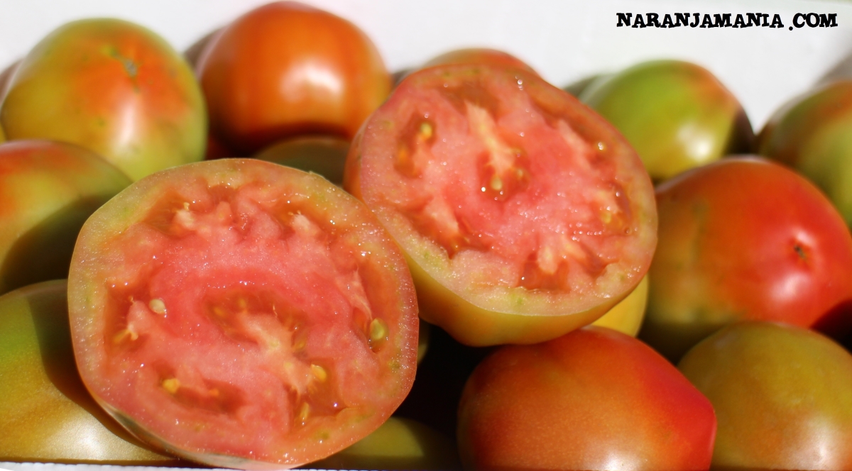 Tomate online Naranjamania