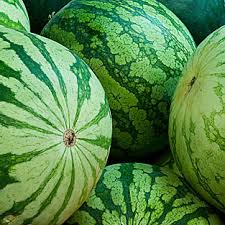 Sandia sin pepitas ✔-796