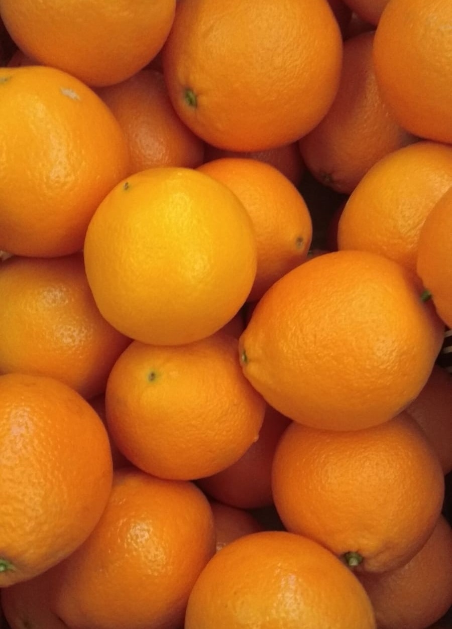 Naranja zumo 1kg ✔-0