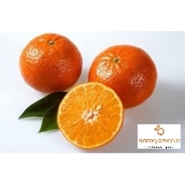 Mandarina 1kg ✔-1028