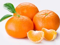 Cajas Mixtas de Mandarinas