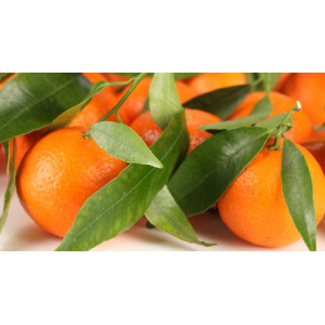Mandarina 1kg ✔-807