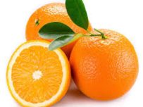 Naranjas sin seleccionar