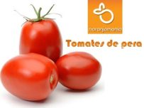 Tomate de Pera 1kg ✔-0