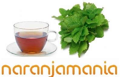 Ortiga verde 50gr-900