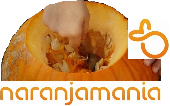 Optimized-calabaza 3