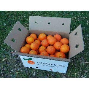 Naranja Máquina de Zumo C6-7 19kg ✔-936