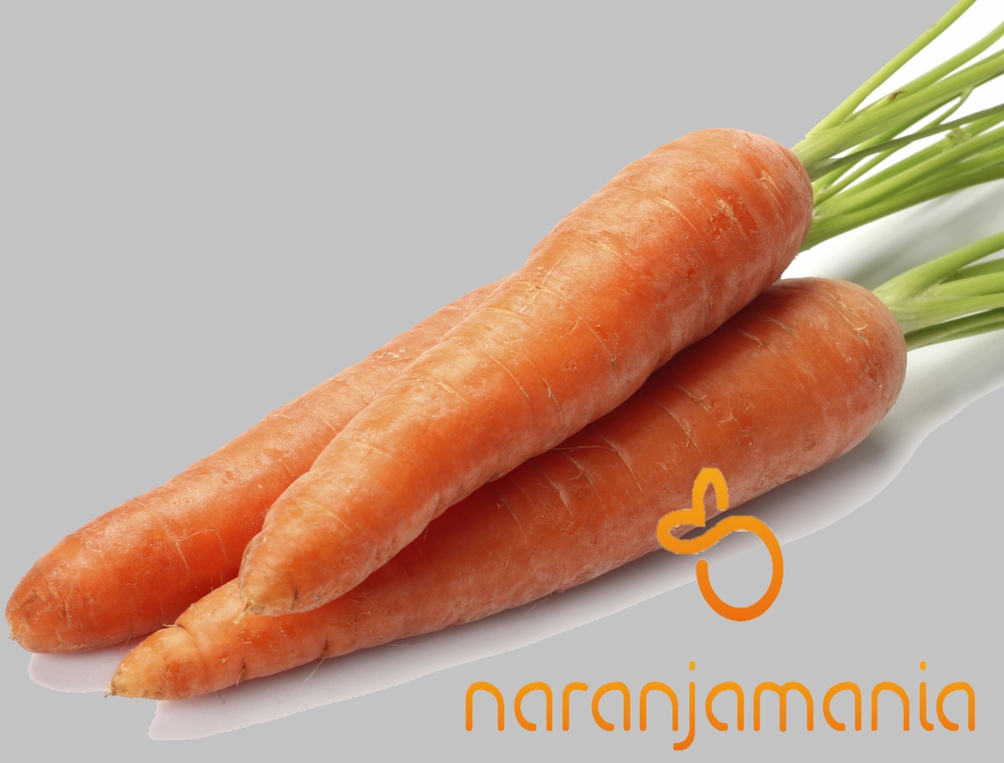 Zanahoria 1kg ✔-0
