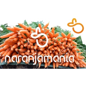Zanahoria 1kg ✔-960