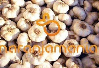 Ajos (5 cabezas) ✔-0