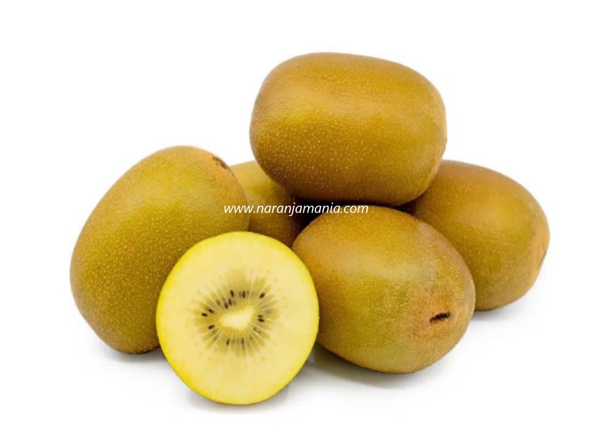 KIWI Amarillo 5kg ✔