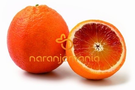 Naranja SANGUINA DULCE caja de 9kg-1109