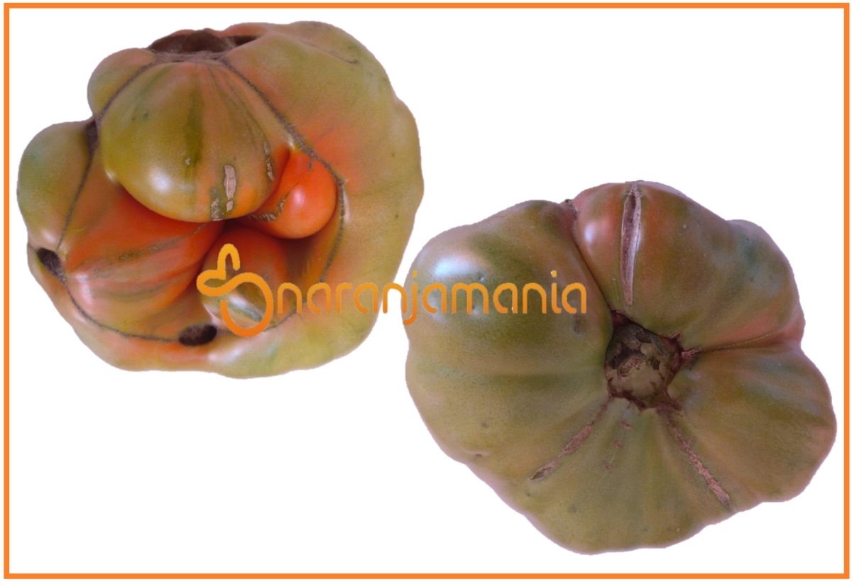 Tomate Feo Valenciano 1kg ✔-0